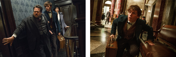 photo-les-animaux-fantastiques